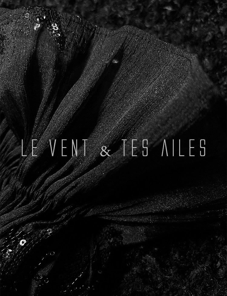 LE VENT & TES AILES | Isabella Noire Evening Dress