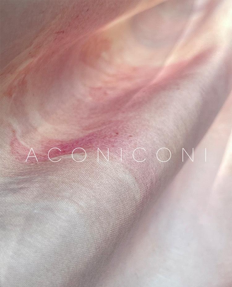 Aconiconi|Enchanted Rose Retro Dress